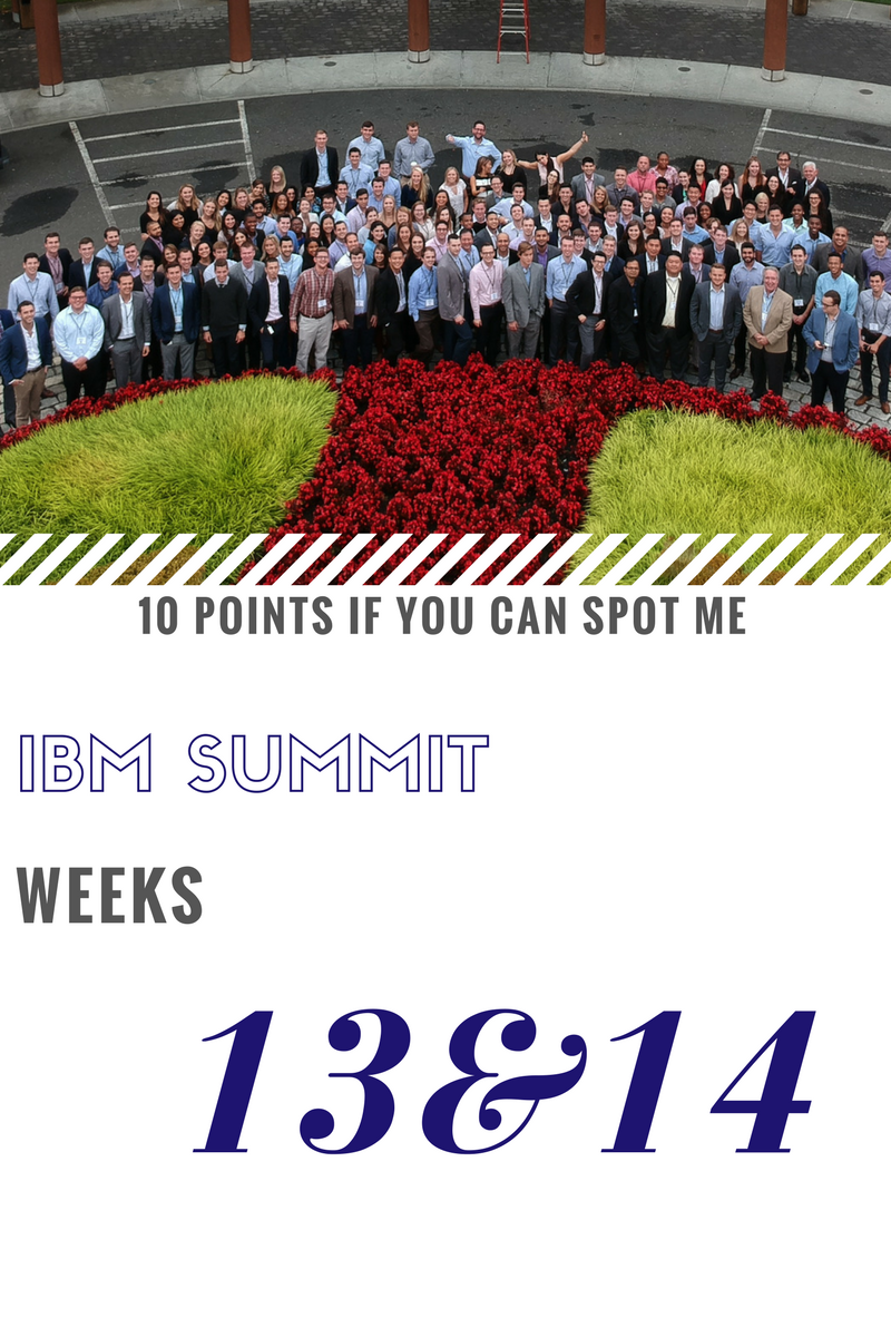 IBM Summit Program: Weeks 13&14