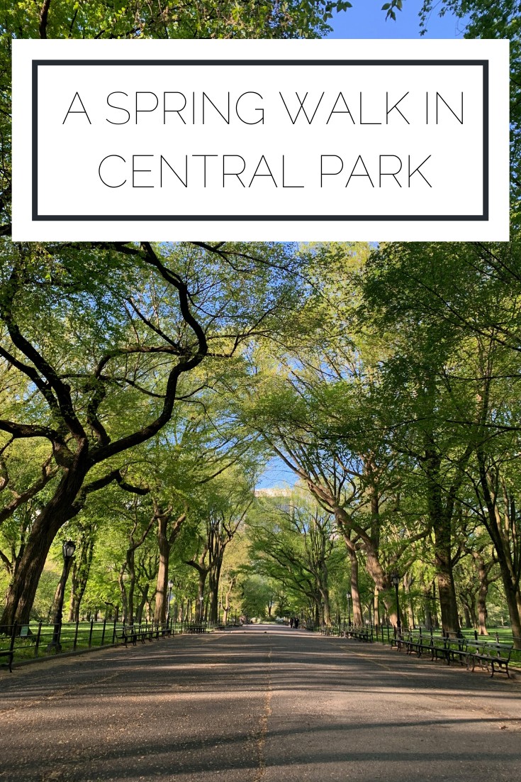 A Spring Walk in Central Park